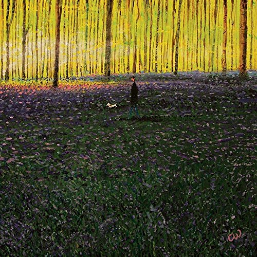 Chris Williamson Kunstdruck auf Leinwand, Motiv The Bluebells, 40 x 40 cm, Polyester, Mehrfarbig, 40x40x3.2 cm von Chris Williamson