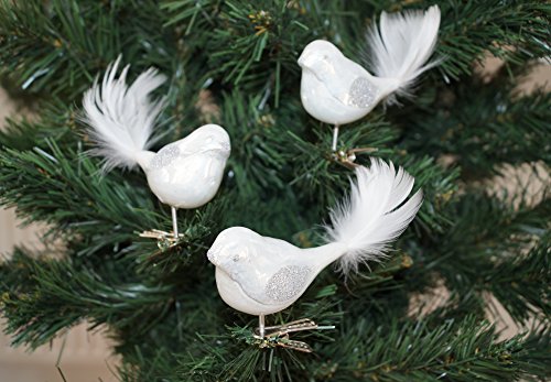 3 TLG. Glas Vogel Set in Hochglanz-Weiss-Silber - Neuheit - Christbaumkugeln - Weihnachtsschmuck-Christbaumschmuck von Christbaumkugeln-24.de