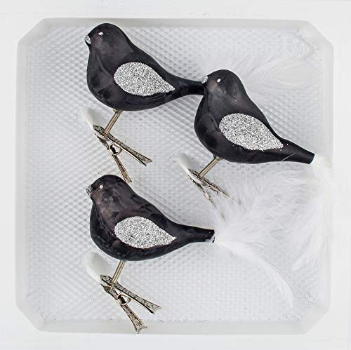 3 TLG. Glas Vogel Set in 'Ice Schwarz Silber' - Christbaumkugeln - Weihnachtsschmuck-Christbaumschmuck 3 TLG. Glas Vogel Set in 'Ice Schwarz Silber' - Christbaumkugeln - Weihnachtsschmuck-Christbaumschmuck von Christbaumkugeln-24.de