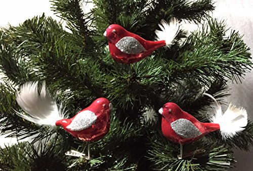 3 TLG. Glas Vogel Set in Hochglanz Rot Candy - Neuheit - - Christbaumkugeln - Weihnachtsschmuck-Christbaumschmuck von Christbaumkugeln-24.de