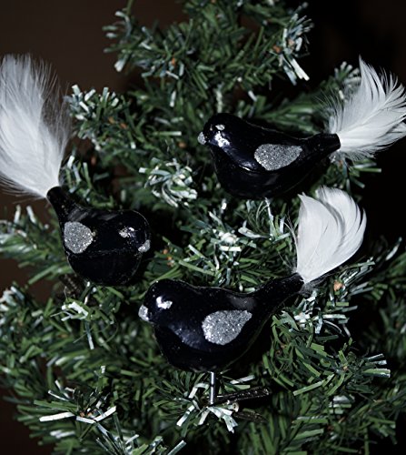 3 tlg. Glas Vogel Set in "Hochglanz-Schwarz-Silber" - Neuheit - Christbaumkugeln - Weihnachtsschmuck-Christbaumschmuck von Christbaumkugeln-24.de