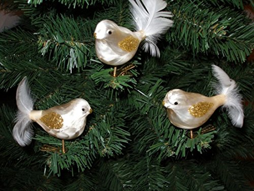 3 tlg. Glas Vogel Set in"Ice Champagner Gold" - Christbaumkugeln - Weihnachtsschmuck-Christbaumschmuck von Christbaumkugeln-24.de