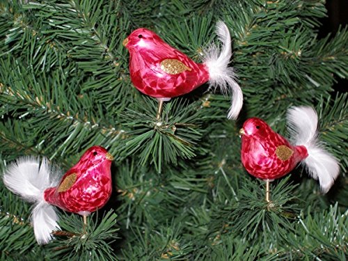 3 TLG. Glas Vogel Set in Ice Rot Gold - Christbaumkugeln - Weihnachtsschmuck-Christbaumschmuck von Christbaumkugeln-24.de