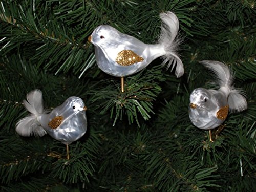 3 tlg. Glas Vogel Set in "Ice Weiss Gold" - Christbaumkugeln - Weihnachtsschmuck-Christbaumschmuck von Christbaumkugeln-24.de