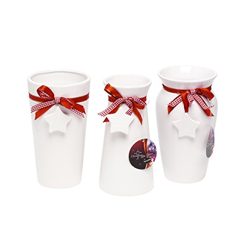 00095 Vasen Sortiment Weihnachtsdeko bunt 12 x 12 x 21 cm von Christmas Gifts
