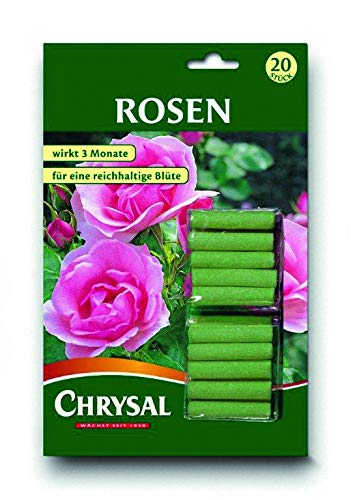 CHRYSAL 025-441 Rosen von Chrysal