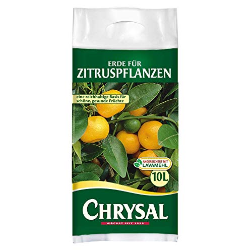 Chrysal Erde für Zitruspflanzen - 10 Liter von Chrysal