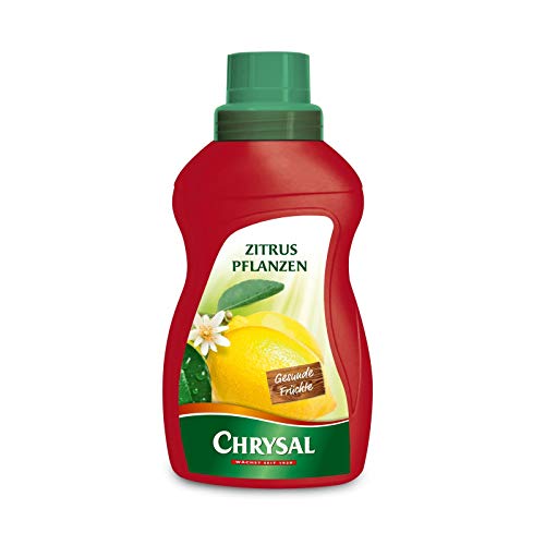 Chrysal Flüssigdünger für Zitruspflanzen - 500 ml von Chrysal