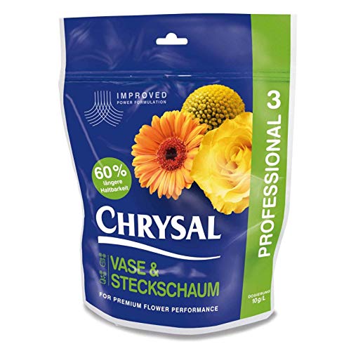 Chrysal Klar Professional 3 Vase & Steckschaum - 2 kg von Chrysal