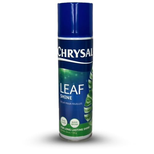 Chrysal Leaf Shine Spray – Blumen & Pflanzen Aerosolspray für Zimmerpflanzen, Blumensträuße & mehr – Blumenarrangements Zubehör für Floristen, Veranstaltungsplaner & Pflanzenliebhaber – verhindert von Chrysal