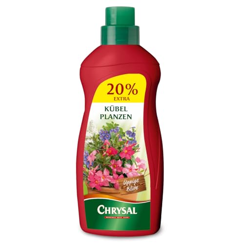 Chrysal Spezialdünger für Kübelpflanzen - Flüssigdünger 1,2 Liter von Chrysal