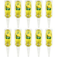Chrysal - Zitruspflanzen Vitalkur - 10x 30 ml von Chrysal