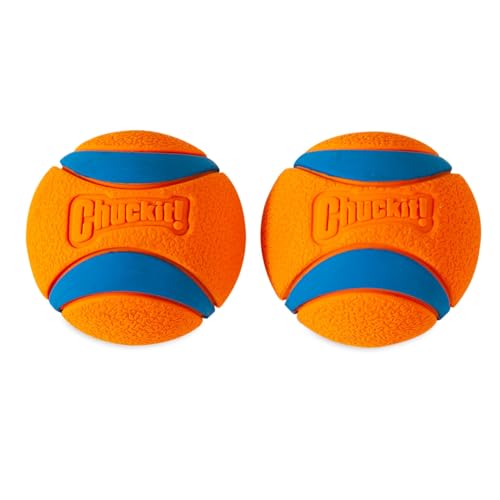 Chuckit! Ultra Ball Hundespielzeug-Ball, langlebig, Gummi, hohe Sprungkraft, schwimmend, Chuck It Launcher, kompatible Spielzeugbälle für Hunde, 2 Stück, groß von Chuckit!