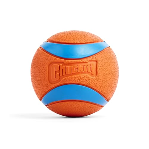 Chuckit! CH170501 Ultra Ball XXLarge 1-er Pack, Multi, XXL, 4-Inch, 1-Pack Chuckit! CH170501 Ultra Ball XXLarge 1-er Pack, Multi, XXL, 4-Inch, 1-Pack von Chuckit!