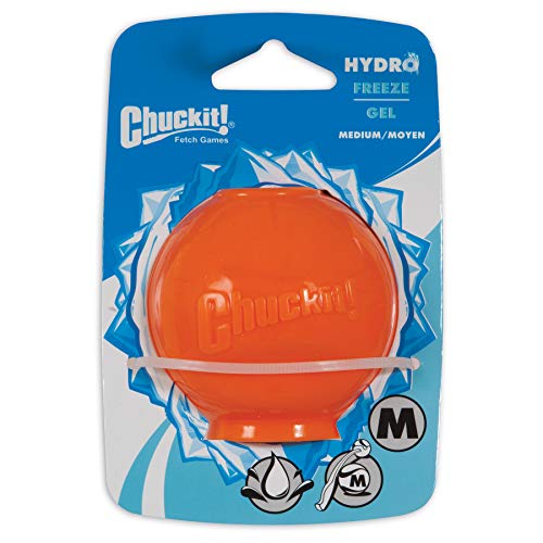 Chuckit! CH31474 Hydrofreeze Ball Medium von Chuckit!