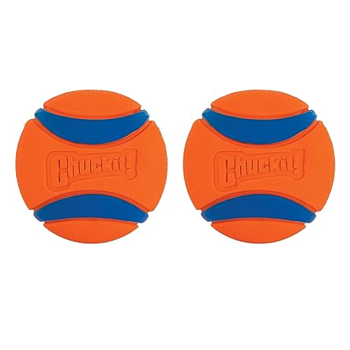 Chuckit! Ultra Ball Small 2-er Pack von Chuckit!