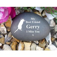 Pet Memorial - Small Pebble | Stone Effect Personalised Weatherproof Gerbil von ChurchyardAngels