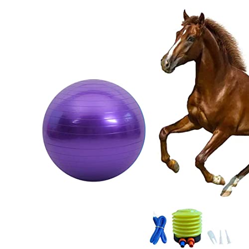 Chyesong Pferdeball-Trainingsspielzeug, Anti-Burst-Pferde-Übungsball mit Inflator-Pumpe für Pferd, Lamm, Ziege, Unterhaltungsspielzeug Ball (55,9 cm, lila), 55,9 cm von Chyesong