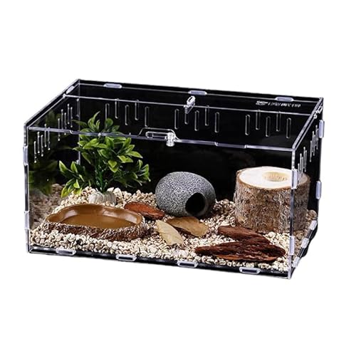 CiCixixi Schnecken Terrarium, 30 x 20 x 15 cm Acryl Terrarium Reptil Fütterungsbox Transparent Mini Terrarium Tragbarer Reptilien-Zuchtbox für Schnecken, Spinnen, Gecko, Chamäleon von CiCixixi