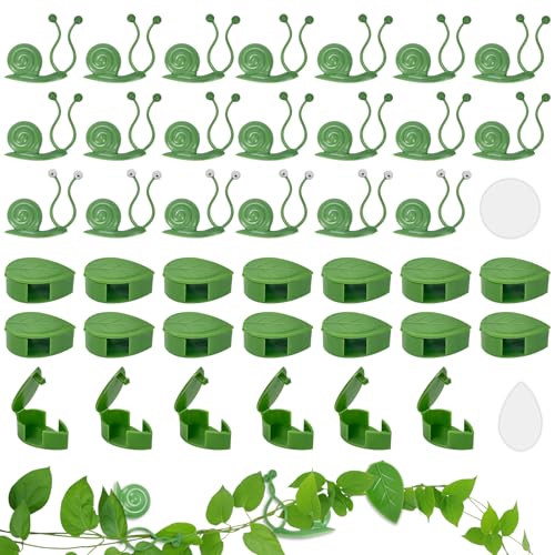 CiShow 40 STK Pflanzenclips für Kletterpflanzen, Pflanzen Plant Clips Wand, Pflanzenklammern Selbstklebend, Pflanzenwand Kletterpflanzen, Wandbefestigung für Pflanzen Sicherung Unterstützt (Grün) von CiShow