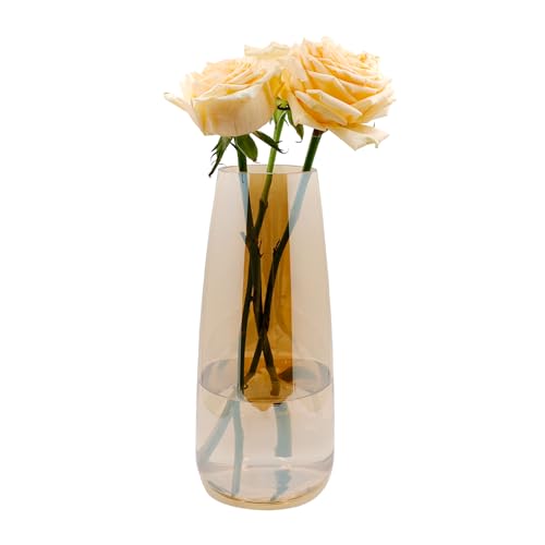 Blumenvase Glas, Ins Moderne Klarglas Vase, 22,8 cm Hoch Glasvase für Tischdeko, Dekorative Vasen für Pampasgras, Tulpen, Orchideen, Rosen, Trockenblumen (Bernstein) von CiciIng