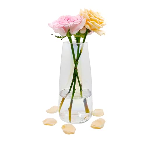 Blumenvase Glas, Ins Moderne Klarglas Vase, 22 cm Hoch Glasvase für Tischdeko, Dekorative Vasen für Pampasgras, Tulpen, Orchideen, Rosen, Trockenblumen (Heptachrome) von CiciIng