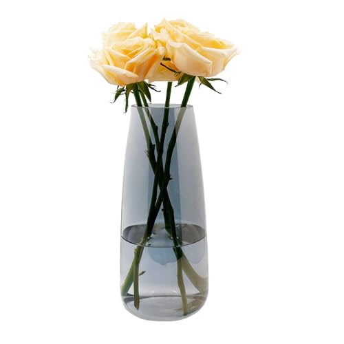 Blumenvase Glas, Ins Moderne Klarglas Vase, 22 cm Hoch Glasvase für Tischdeko, Dekorative Vasen für Pampasgras, Tulpen, Orchideen, Rosen, Trockenblumen (Rauchgrau) von CiciIng