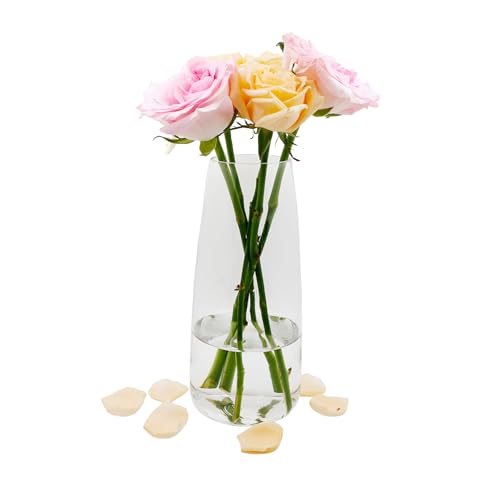 Blumenvase Glas, Ins Moderne Klarglas Vase, 22 cm Hoch Glasvase für Tischdeko, Dekorative Vasen für Pampasgras, Tulpen, Orchideen, Rosen, Trockenblumen (Transparente) von CiciIng