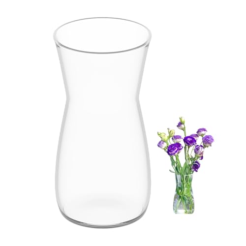 Blumenvase Glas, Klarglas Vase, 20CM Hoch Glasvase für Tischdeko, Dekorative Vase für Pampasgras, Tulpen, Orchideen, Rosen, Trockenblumen (Transparente) von CiciIng