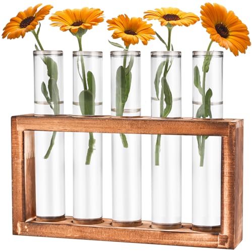 Cieex Reagenzgläser Blumenvase - Kleine Reagenzglas Vasen mit Ständer Holz - Glasrohre mit Flachboden - Modern Vasen Deko Set für Hydrokultur Pflanzen, Tisch Hause Büro Wohnzimmer Küche Deko von Cieex