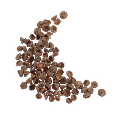 Ciieeo 100 Stück Eichelschale Ornamente Handwerk Acorns kleine Eichelkappen Heimdekoration Acorn Tops Handwerk Vasenfüller Eicheln kleine Deko- Hellbraun von Ciieeo