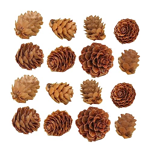 Ciieeo 100 Stück Miniatur Pinienzapfen Dekoration Kreative Weihnachtsbaum Deko Realistische Zapfen für Hochzeiten Partys und Fotografie Natur Feeling für Ciieeo 100 Stück Miniatur Pinienzapfen Dekoration Kreative Weihnachtsbaum Deko Realistische Zapfen für Hochzeiten Partys und Fotografie Natur Feeling für von Ciieeo