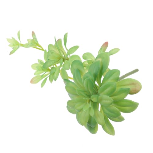 Ciieeo Dekoration Fake Plant Rattan Für Wohnzimmer Sukkulenten Pflanzenschmuck Simulation Plant Rattan Heimtextilien Deko von Ciieeo