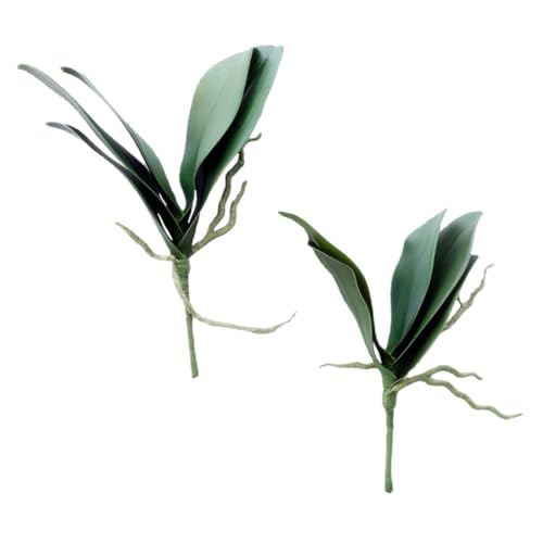 Ciieeo 2 Stück Künstliche Phalaenopsis mit Wurzeln Realistisch Gestaltete Dekorblätter Geruchsfreie Kunststoffmaterialien Leicht und Kompakt für Blumenarrangements und Gartendekoration von Ciieeo