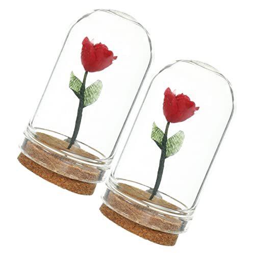Ciieeo 2St Gefälschte Ministiefel Tiny House small Houses wundrrschön unikal Miniaturrose Häuser künstliche Blumen im freien Anlage in Glaskuppel Herzstück Tischdekoration Harz rot Ciieeo 2St Gefälschte Ministiefel Tiny House small Houses wundrrschön unikal Miniaturrose Häuser künstliche Blumen im freien Anlage in Glaskuppel Herzstück Tischdekoration Harz rot von Ciieeo