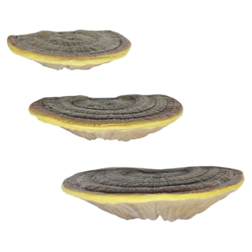 Ciieeo 3stücke Wandmontiertes Schwimmregal Schlafzimmerdisplay Lingzhiform Harz Schwimmregal Ciieeo 3stücke Wandmontiertes Schwimmregal Schlafzimmerdisplay Lingzhiform Harz Schwimmregal von Ciieeo