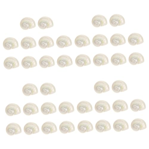 Ciieeo 4 Sätze Aquarium Muschel Muschelmaterialien Tank Dekorationen Muscheln Aquarium Dekoration Schneckenhäuser Für Aquarium Aquarium-muscheldekore Natur-Muschel- Weiß 10 Stück * 4 Ciieeo 4 Sätze Aquarium Muschel Muschelmaterialien Tank Dekorationen Muscheln Aquarium Dekoration Schneckenhäuser Für Aquarium Aquarium-muscheldekore Natur-Muschel- Weiß 10 Stück * 4 von Ciieeo