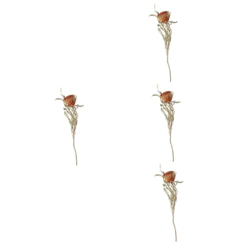 Ciieeo 4 Stück Shan Mao Jian Trocken künstliche Brautblumenstrauß hochzeitsdeko trockenblumenstrauss getrocknete Blumen Ornament Blütenstiele Blumendekor nordisch Dekorationen von Ciieeo
