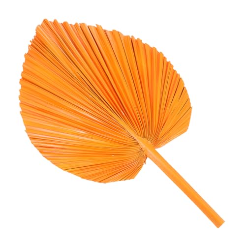 Ciieeo Getrockneten Palmblättern Farbige für Hochzeitsdekoration Brautpaar Arrangements Party und Raumgestaltung für Innen und Außendekoration Langlebig und Vielseitig Einsetzbar Ciieeo Getrockneten Palmblättern Farbige für Hochzeitsdekoration Brautpaar Arrangements Party und Raumgestaltung für Innen und Außendekoration Langlebig und Vielseitig Einsetzbar von Ciieeo