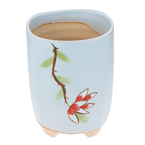 Ciieeo Sukkulenten Blumentopf Keramik mit Blumendruck Dekorativer Pflanztopf für Garten Zuhause Büro Niedlicher Übertopf für Sukkulenten und Pflanzen von Ciieeo