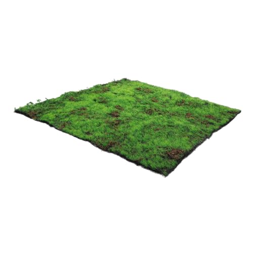 Ciieeo Künstliches Moosmatte Langlebiges Fake Moss Turf Realistische Sheet Moss Dekoration für Garten Balkon Innenräume Pflegefreies Vielseitiges Micro Landscape Zubehör Ciieeo Künstliches Moosmatte Langlebiges Fake Moss Turf Realistische Sheet Moss Dekoration für Garten Balkon Innenräume Pflegefreies Vielseitiges Micro Landscape Zubehör von Ciieeo
