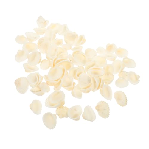 Ciieeo Natürliche Deko für Aquarien DIY Material für Fischbehälter Sichere und Stilvolle Dekoration für Aquarien und Wohnräume von Ciieeo