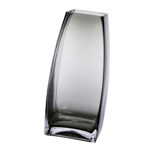 Ciieeo Blumenvase Aus Glas Im Nordischen Stil Modernes Für Zuhause Eleganter Blumenbehälter Für Trockene Blumen von Ciieeo