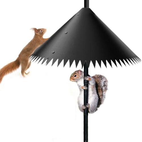 Cikiki Eichhörnchen-Leitblech für Vogelstangen, universeller Eichhörnchensicherer Vogelfutterspender, Außenstangenhalterung, Eichhörnchensicherer Schutzstopper, um Eichhörnchen zu stoppen, Vogelfutter Cikiki Eichhörnchen-Leitblech für Vogelstangen, universeller Eichhörnchensicherer Vogelfutterspender, Außenstangenhalterung, Eichhörnchensicherer Schutzstopper, um Eichhörnchen zu stoppen, Vogelfutter von Cikiki