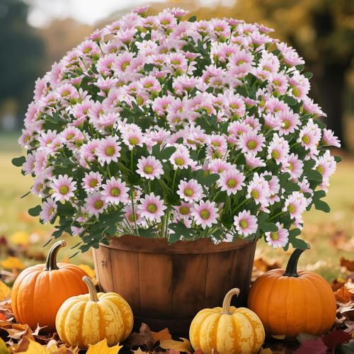 Cikiki Künstliche Sonnenuntergangsmütter, künstliche Blumen für den Außenbereich, UV-beständig, wasserdicht, künstliche Gänseblümchen, für Zuhause, Veranda, Außendekoration, sieht echt aus, verblasst Cikiki Künstliche Sonnenuntergangsmütter, künstliche Blumen für den Außenbereich, UV-beständig, wasserdicht, künstliche Gänseblümchen, für Zuhause, Veranda, Außendekoration, sieht echt aus, verblasst von Cikiki