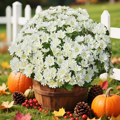 Cikiki Künstliche Sonnenuntergangsmütter, künstliche Blumen für den Außenbereich, UV-beständig, wasserdicht, künstliche Gänseblümchen, für Zuhause, Veranda, Außendekoration, sieht echt aus, verblasst Cikiki Künstliche Sonnenuntergangsmütter, künstliche Blumen für den Außenbereich, UV-beständig, wasserdicht, künstliche Gänseblümchen, für Zuhause, Veranda, Außendekoration, sieht echt aus, verblasst von Cikiki