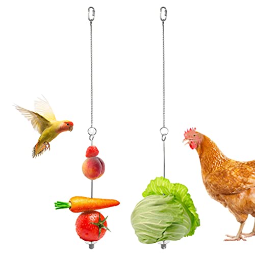 2Pcs Edelstahl Fruchtspieß Frucht Gemüse Halter Fruchthalter Obst- und Gemüsehalter Fruchthalter für Papagei Vogel Kaninchen Käfige für Wildvögel 2Pcs Edelstahl Fruchtspieß Frucht Gemüse Halter Fruchthalter Obst- und Gemüsehalter Fruchthalter für Papagei Vogel Kaninchen Käfige für Wildvögel von Cikonielf