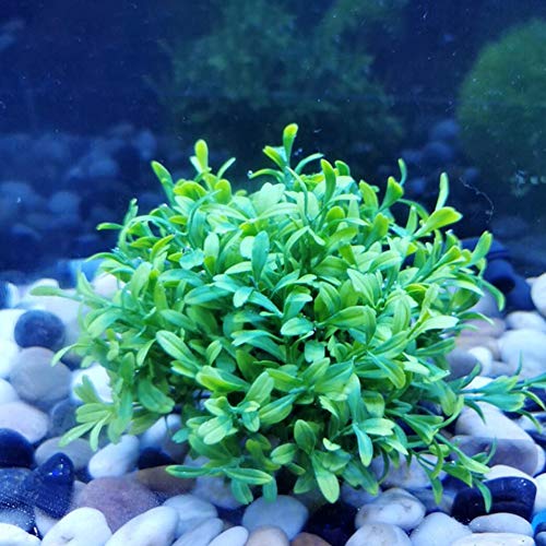 Cikonielf Aquarium Wasserpflanzen Künstliche Pflanzen Plastikpflanzen Aquarium Pflanze Künstliche Aquarium Fish Tank Wasser Pflanze für Aquarium Landschaft Dekoration von Cikonielf