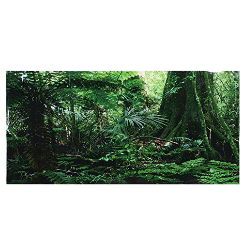 Cikonielf 3D Effekt Regenwald Poster Selbstklebende Reptilien Terrarium Aquarium Hintergrund Aquarium Wandaufkleber Aquarium Hintergrund Unterwasser Poster PVC Dekor Tapete(61 * 30cm) von Cikonielf