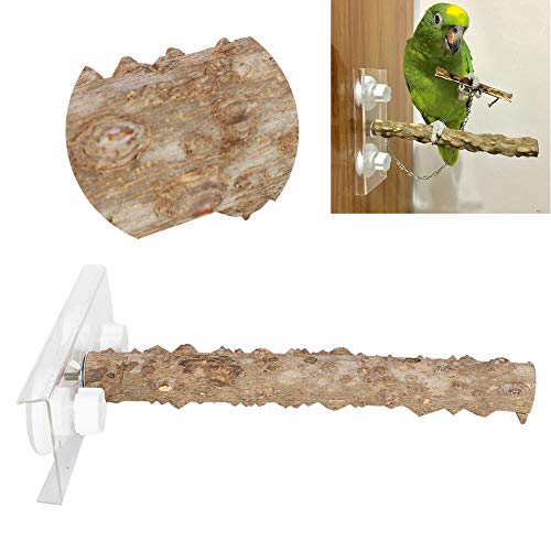 Natur Sitzstangen Vögel Sitzstangen 30cm Natur Holz Barsch Vogelzubehör im Vogelkäfig mit Saugnapf für Vögel, Wellensittich, Papagei, Sittiche, Nymphensittiche von Cikonielf